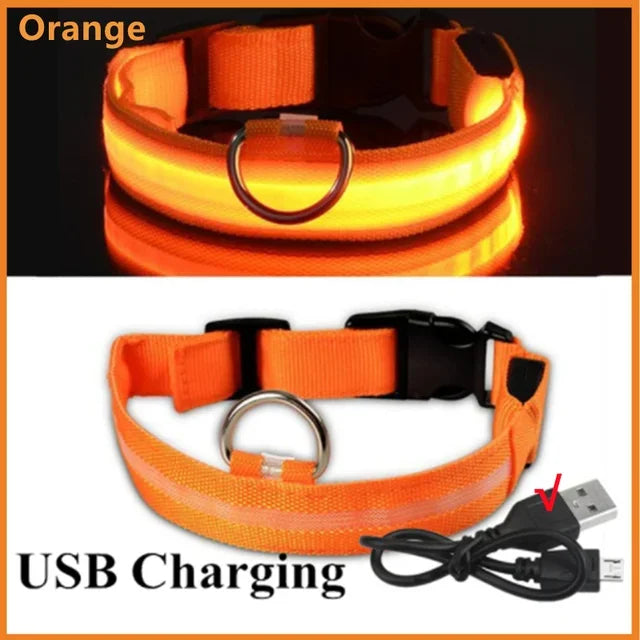 Collier lumineux LED pour chien - Réglable, clignotant, rechargeable - Collier lumineux pour la sécurité nocturne - Harnais lumineux anti-perte pour chien