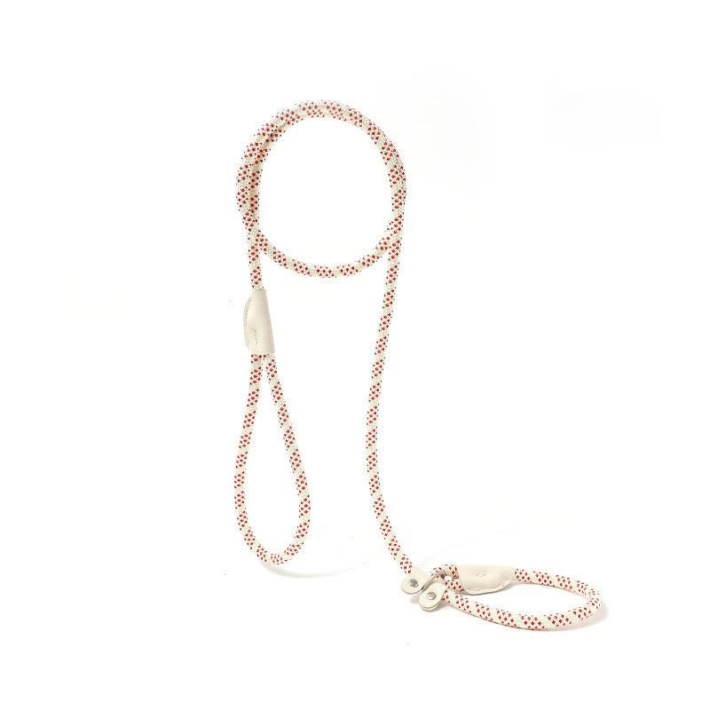 Ensemble laisse et harnais réglables en nylon pour chien