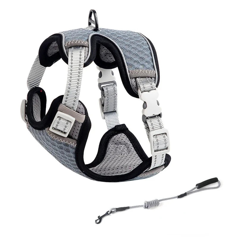 Reflective Cat Harness and Leash Set - Escape Proof, Adjustable Walking Harness