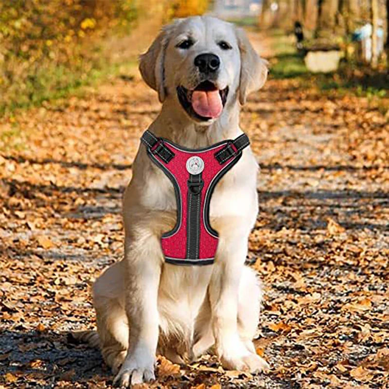 Dog Harness Set — Chest Vest, Shock-Absorbing Lead, Folding Bowl & Waste Bags