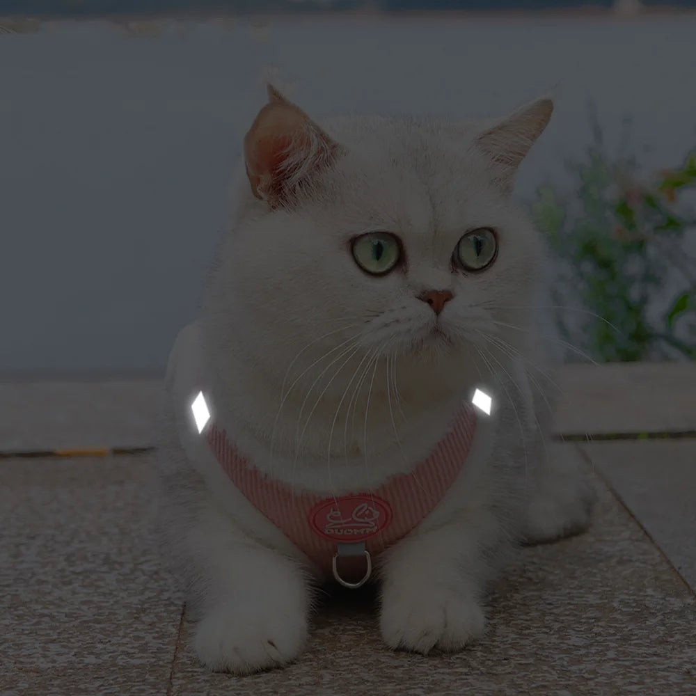 Rabbit Fur Harness & Leash Set for Cats & Small Dogs