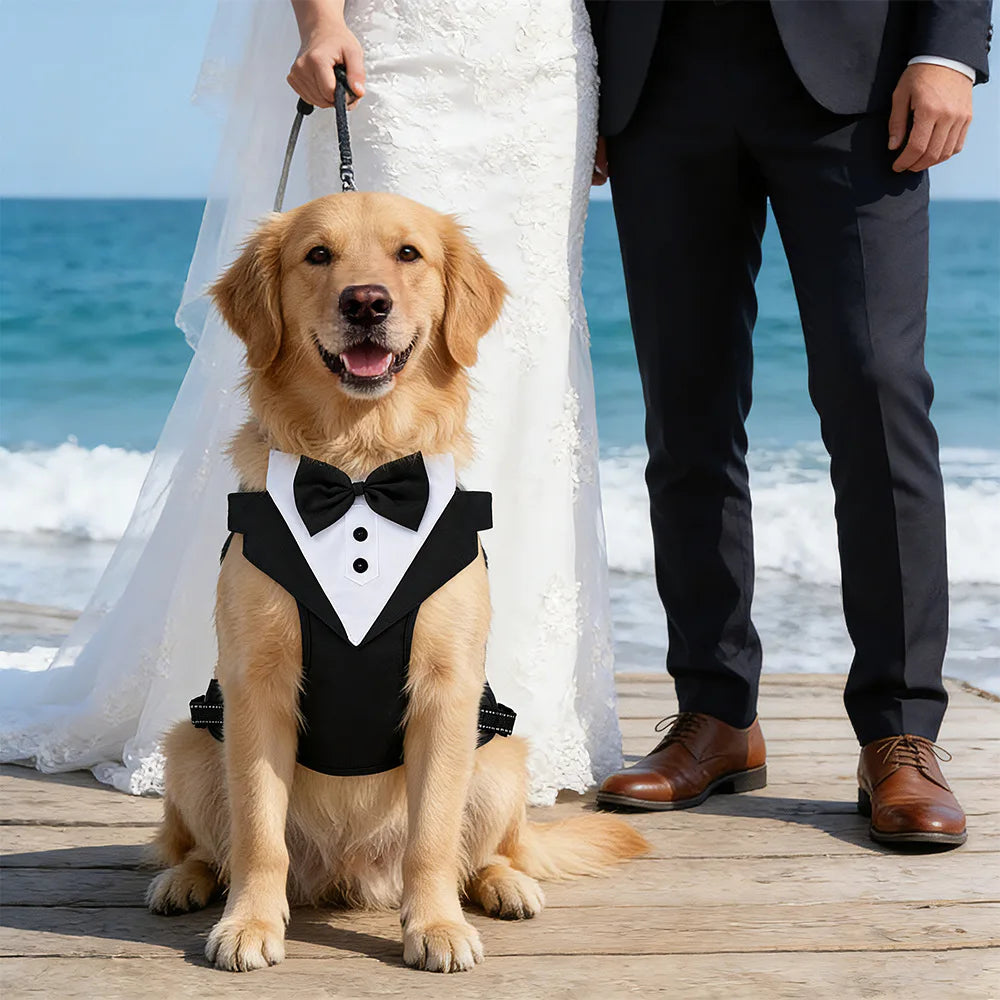 Tuxedo Dog Harness Vest with Bow Tie & D-Ring
