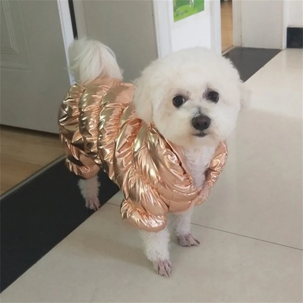 Winter Down Jumpsuit for Small Dogs | Padded All-in-One Dog Coat