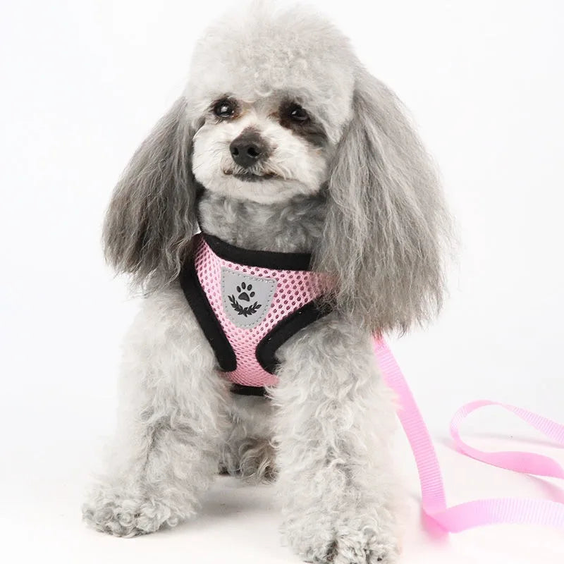 Harnais anti-évasion pour chat et chien avec laisse - Gilet en maille réglable pour la promenade