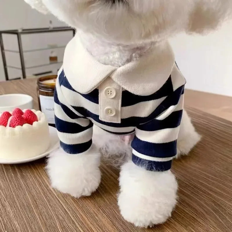 Chemise de luxe premium pour chien