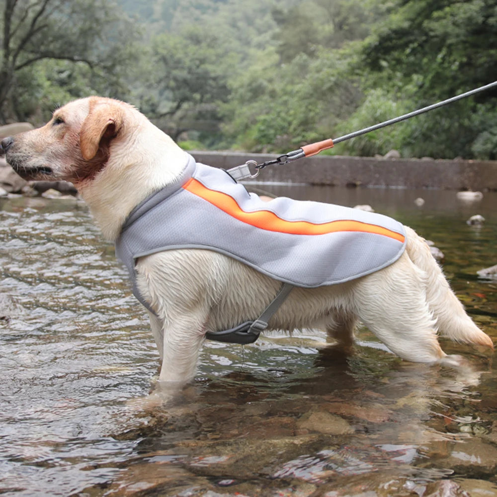 Water-Cooling Vest for Large Dogs