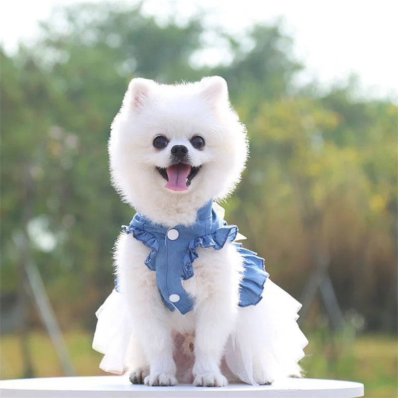 Denim Princess Dress for Small Dogs & Cats — XS to XXL