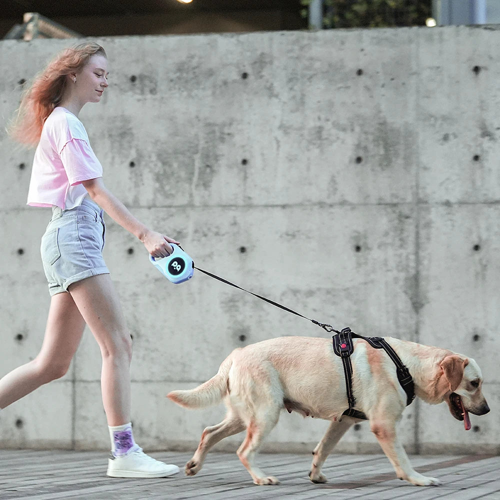 LED Retractable Dog Leash | 5M Rechargeable Light-Up Leash