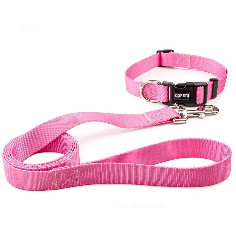 Ensemble laisse et collier réglables en nylon pour chiens - Pour petits et grands chiens