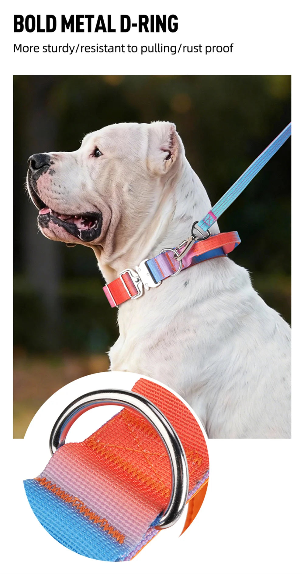 Wide Padded Dog Collar with Handle | Gradient Design for Large Dogs