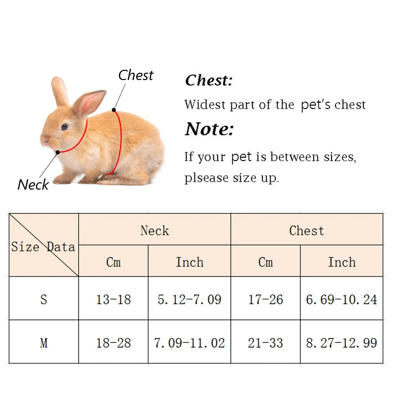 Cartoon Print Harness & Leash Set for Rabbits, Guinea Pigs & Small Pets