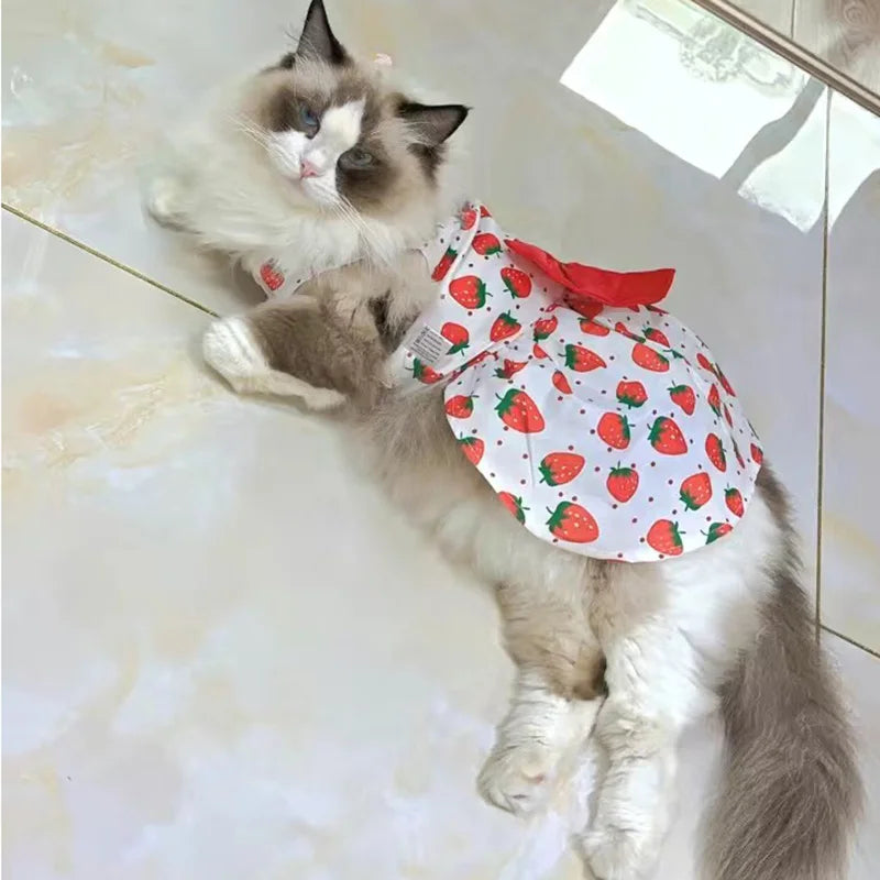Fruit & Floral Print Bow Dress for Cats & Small Dogs