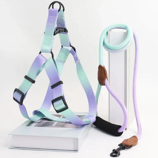Small Dog Chest Harness with Leash Set - Puppy Training Kit