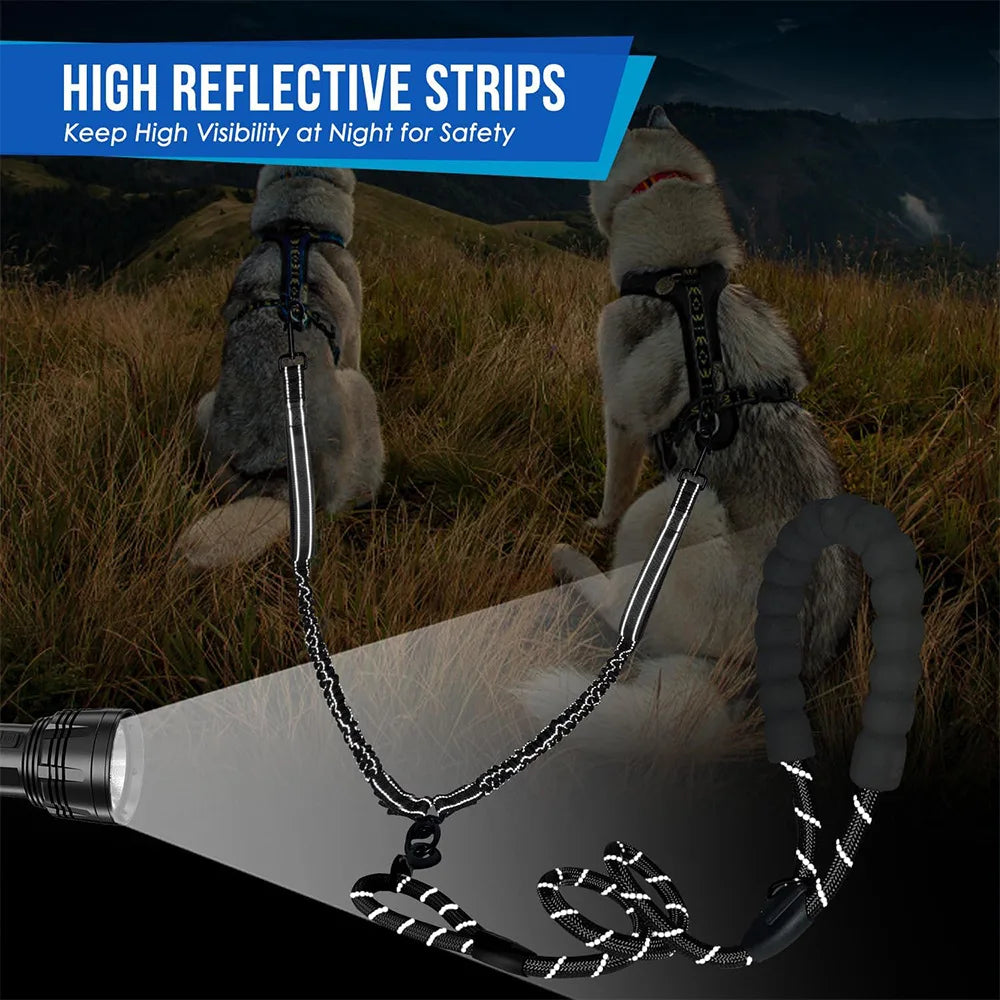 Double Dog Leash with Elastic Shock Absorber