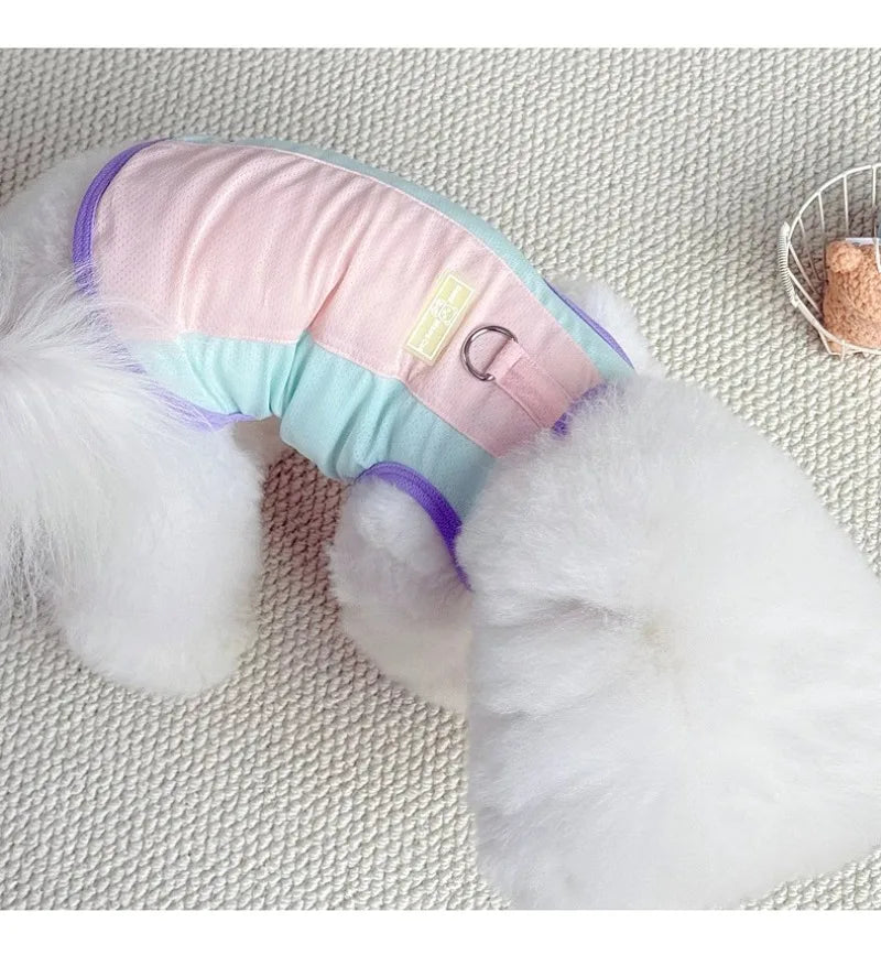 Gilet rafraîchissant réfléchissant et t-shirt d'été pour chiens et chats de petite, moyenne et grande taille