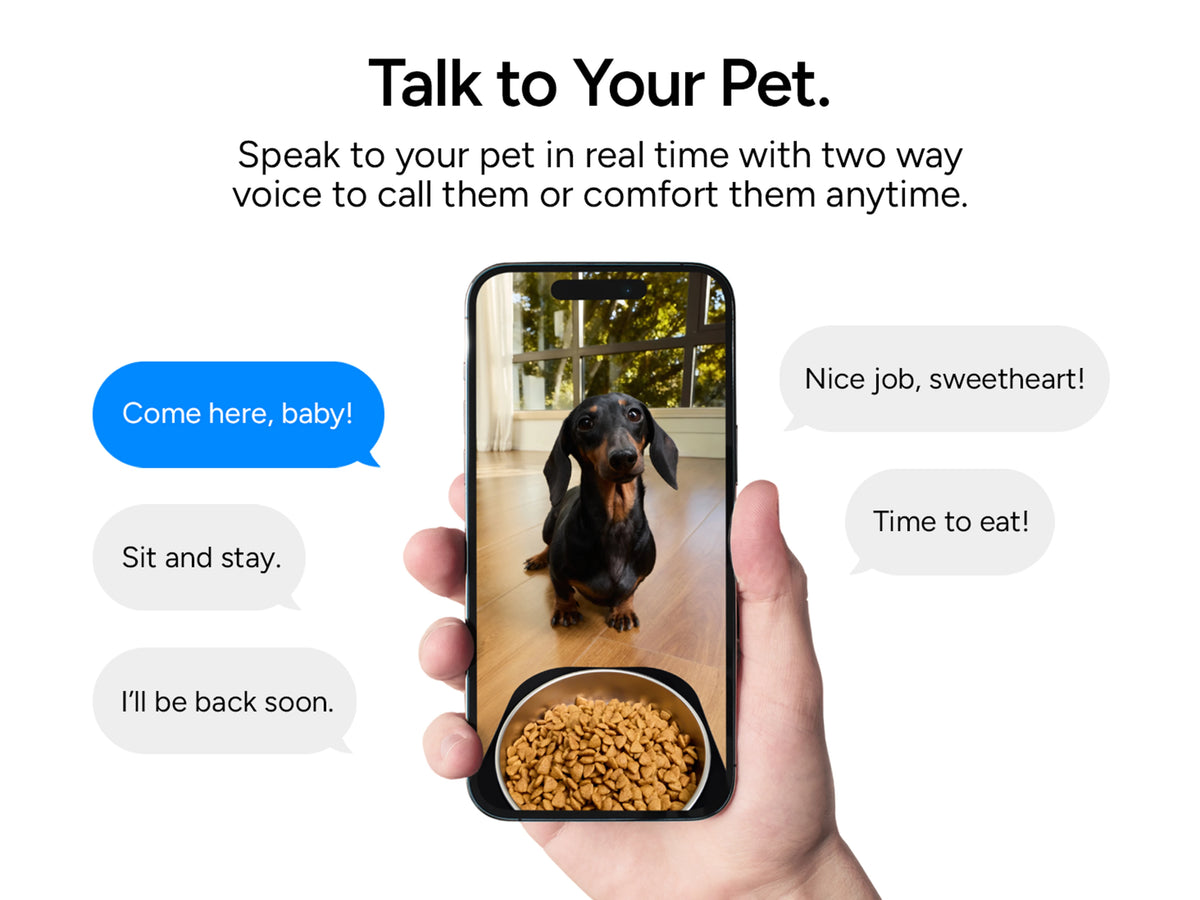 Automatic Pet Feeder with Camera