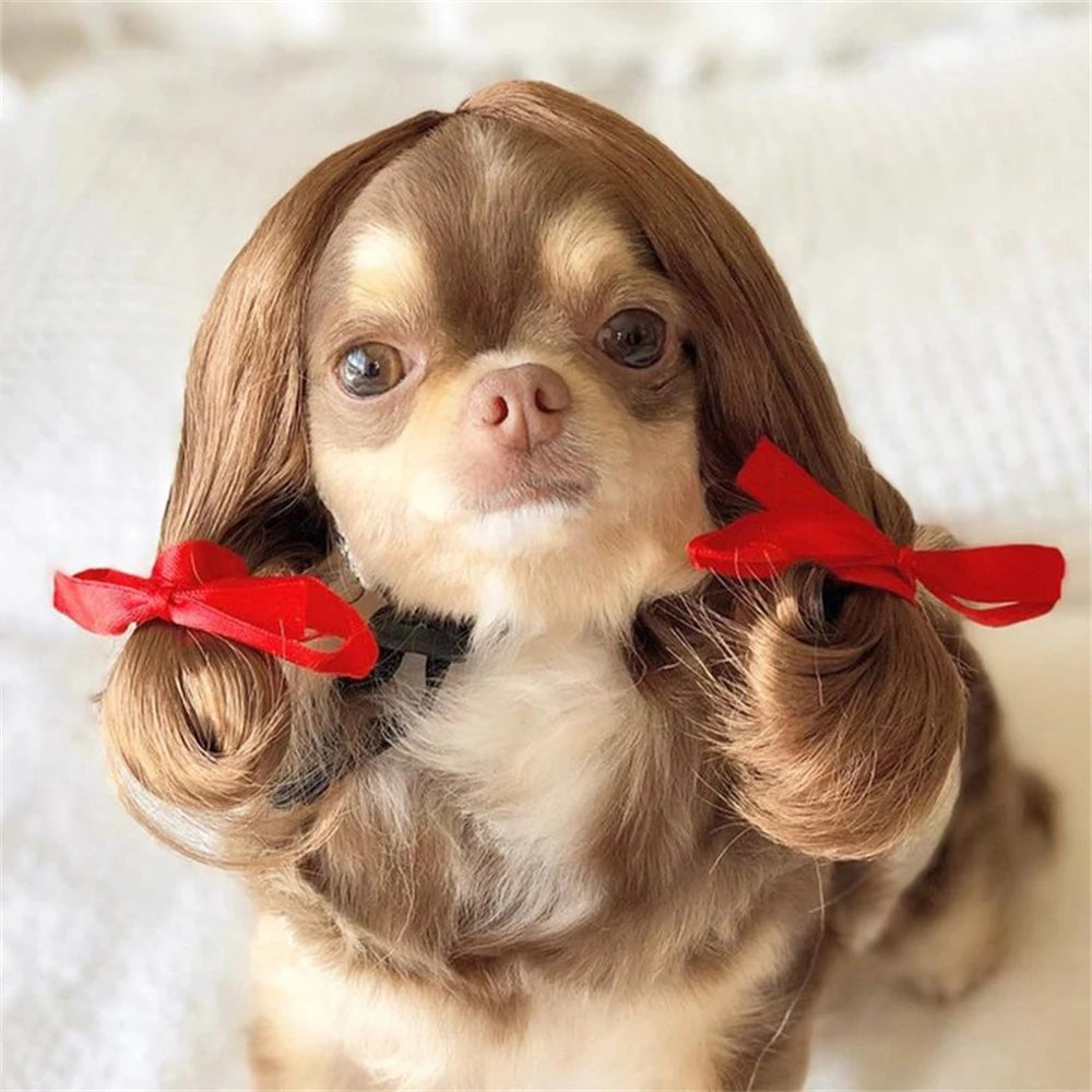 Novelty Faux Fur Wig Hat for Dogs & Cats
