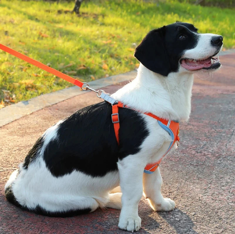 Reflective Soft Mesh Dog Harness with Dual Lead Hooks – No-Pull Vest for Small & Medium Dogs