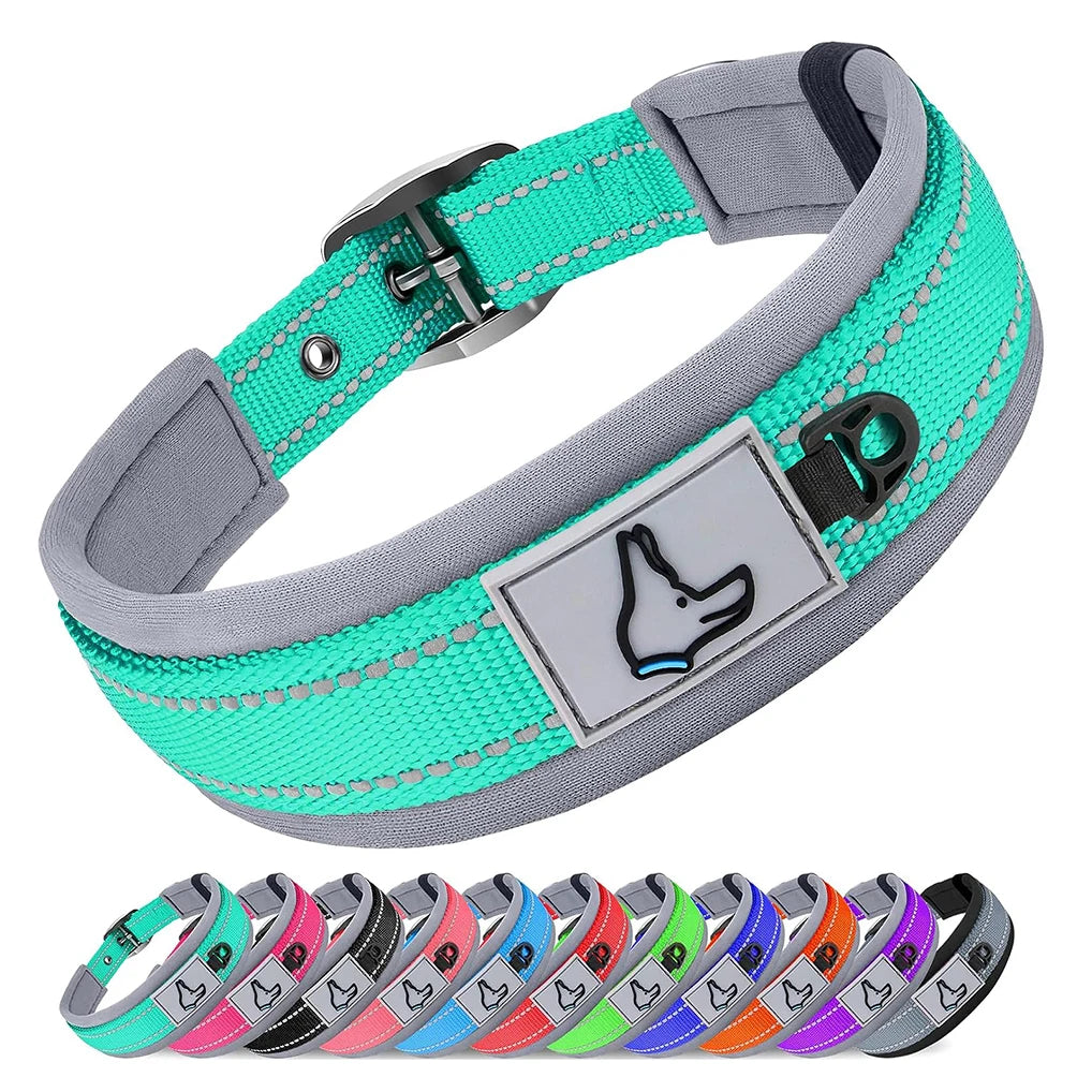 Padded Reflective Nylon Dog Collar – Adjustable for Small, Medium & Large Dogs