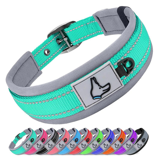 Padded Reflective Nylon Dog Collar – Adjustable for Small, Medium & Large Dogs