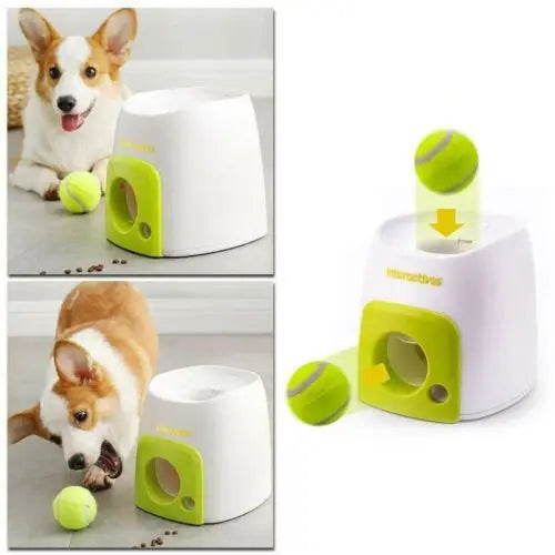 Dog Fetch & Treat Reward Toy