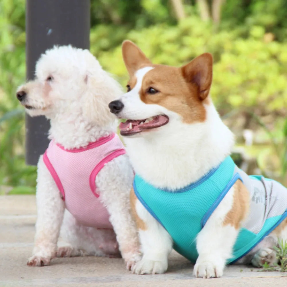 Reflective Cooling Vest for Dogs & Cats