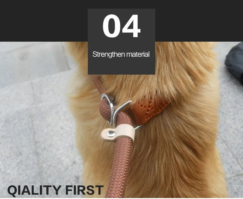 Laisse-collier chien - Corde tressée robuste avec boucle réglable pour grands chiens