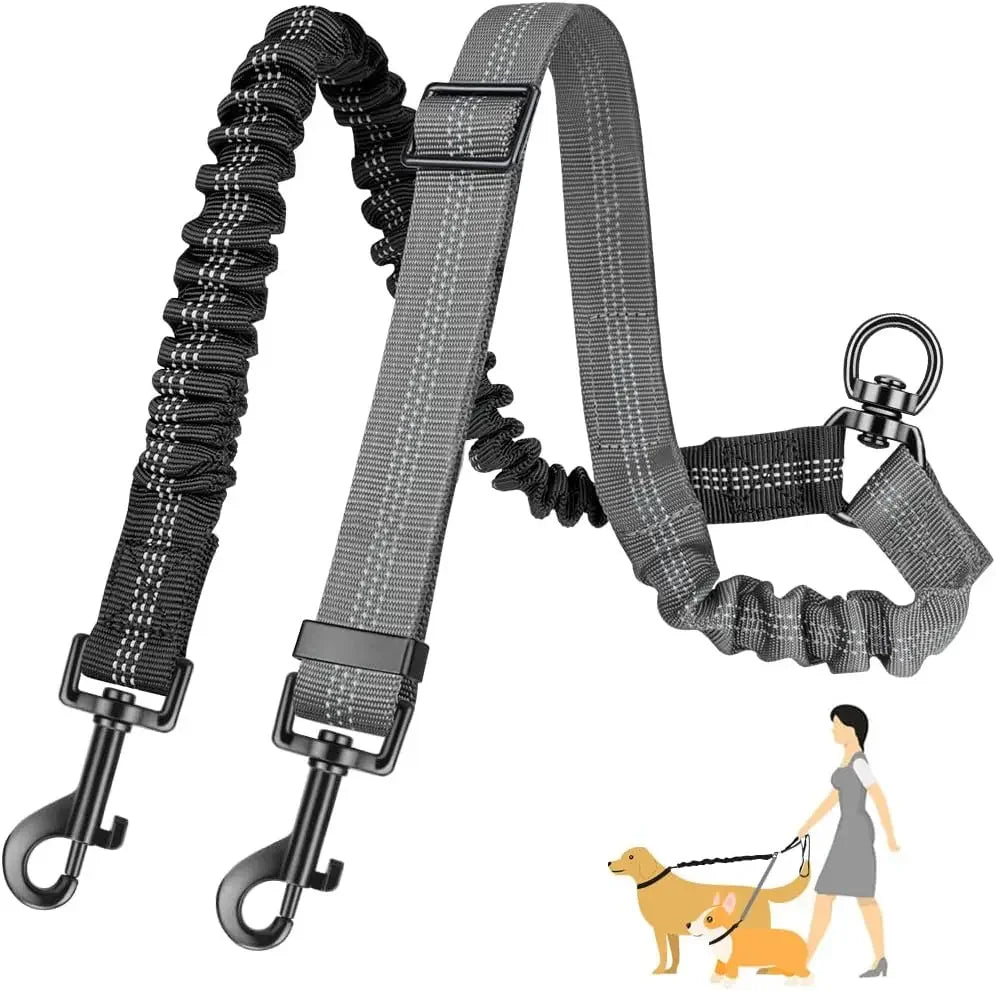 16ft Dual Dog Leash with Shock Absorbing Bungee