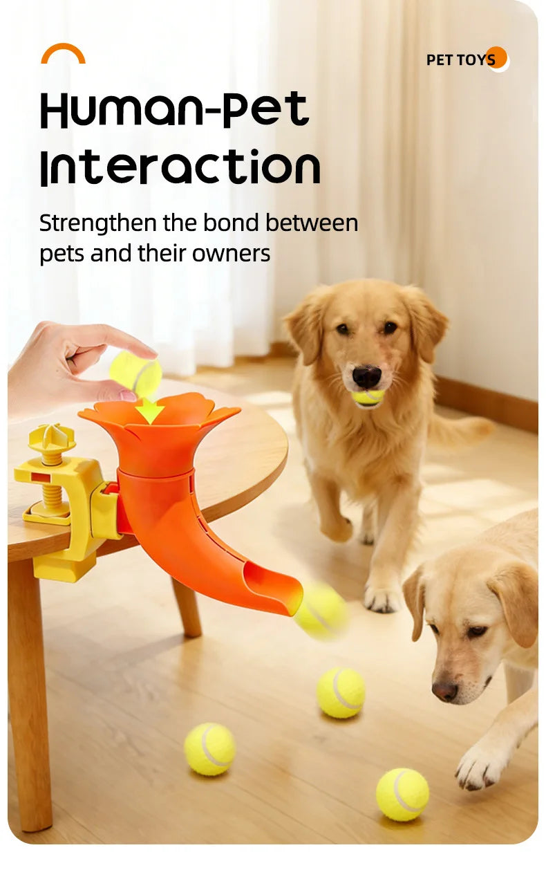 Interactive Dog Ball Trainer Toy