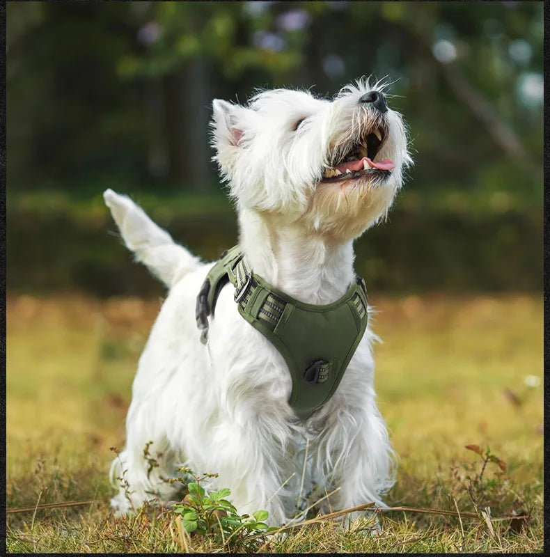 No-Pull Dog Vest Harness with Handle & Reflective Straps