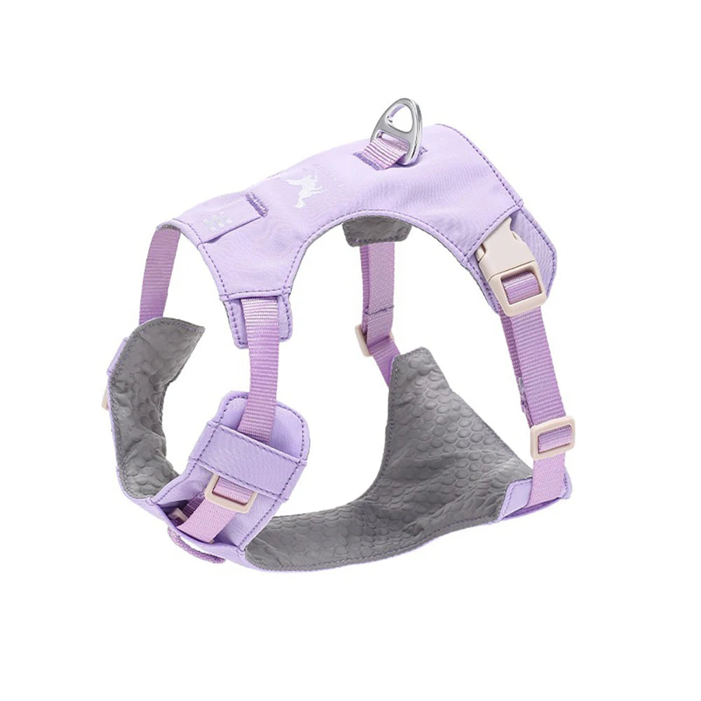 Lightweight Dog Harness & Leash Set Anti-Pull Escape-Proof Pet Walking Lead for Small Medium Large Dogs