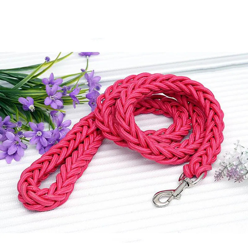 Heavy Duty Nylon Dog Leash & Collar Set - 130cm