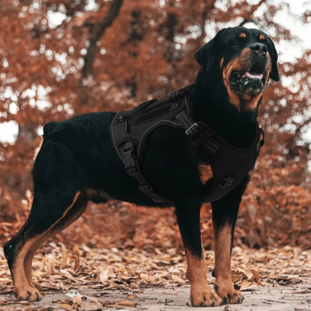 No-Pull Dog Vest Harness with Handle & Reflective Straps