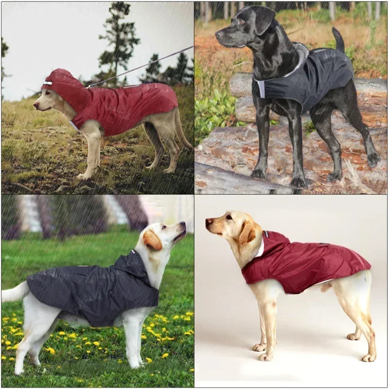 Waterproof Reflective Dog Raincoat with Hood – Sizes S to 6XL