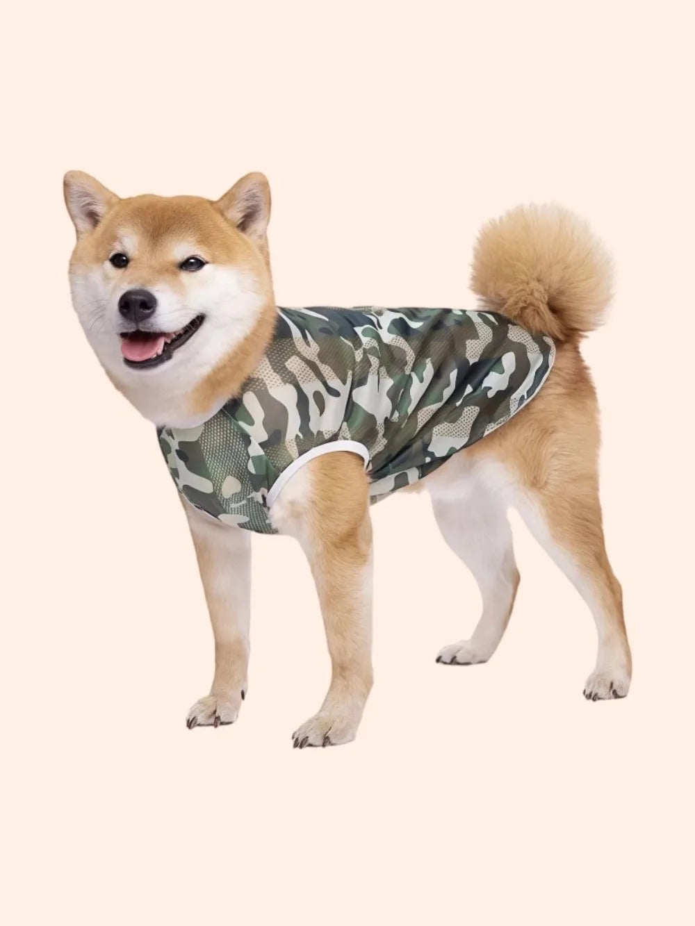 Breathable Mesh Cooling Vest for Dogs