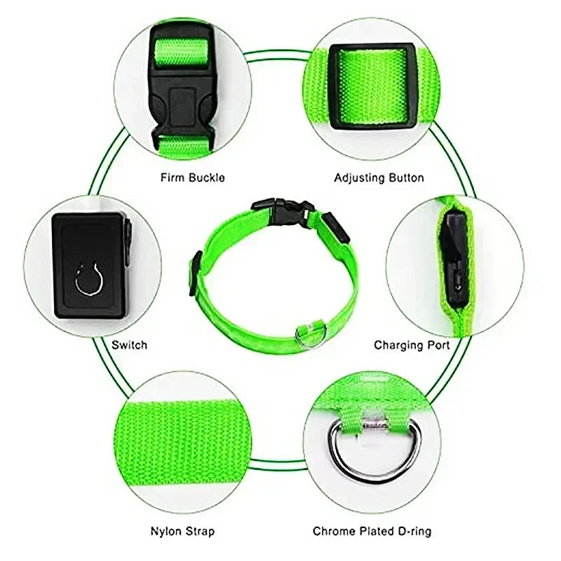 Collier lumineux LED pour chien - Réglable, clignotant, rechargeable - Collier lumineux pour la sécurité nocturne - Harnais lumineux anti-perte pour chien