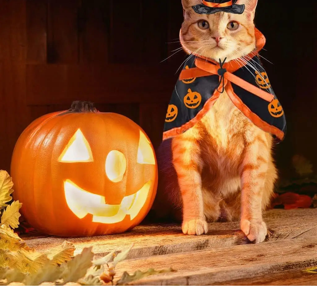 Cape de vampire pour chat – Costume d'Halloween réglable pour animaux de compagnie