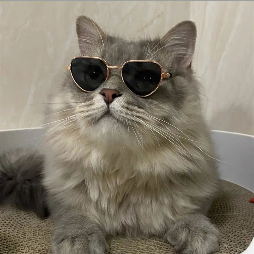 Heart-Shaped Sunglasses for Cats & Kittens
