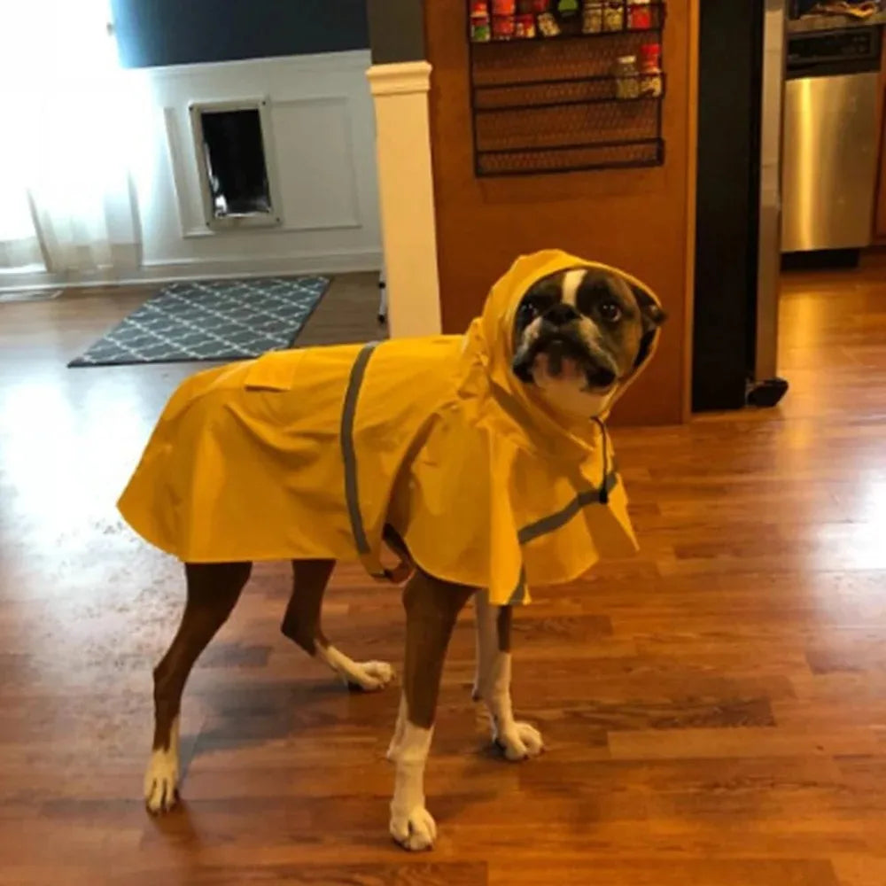 Imperméable haut de gamme pour chien
