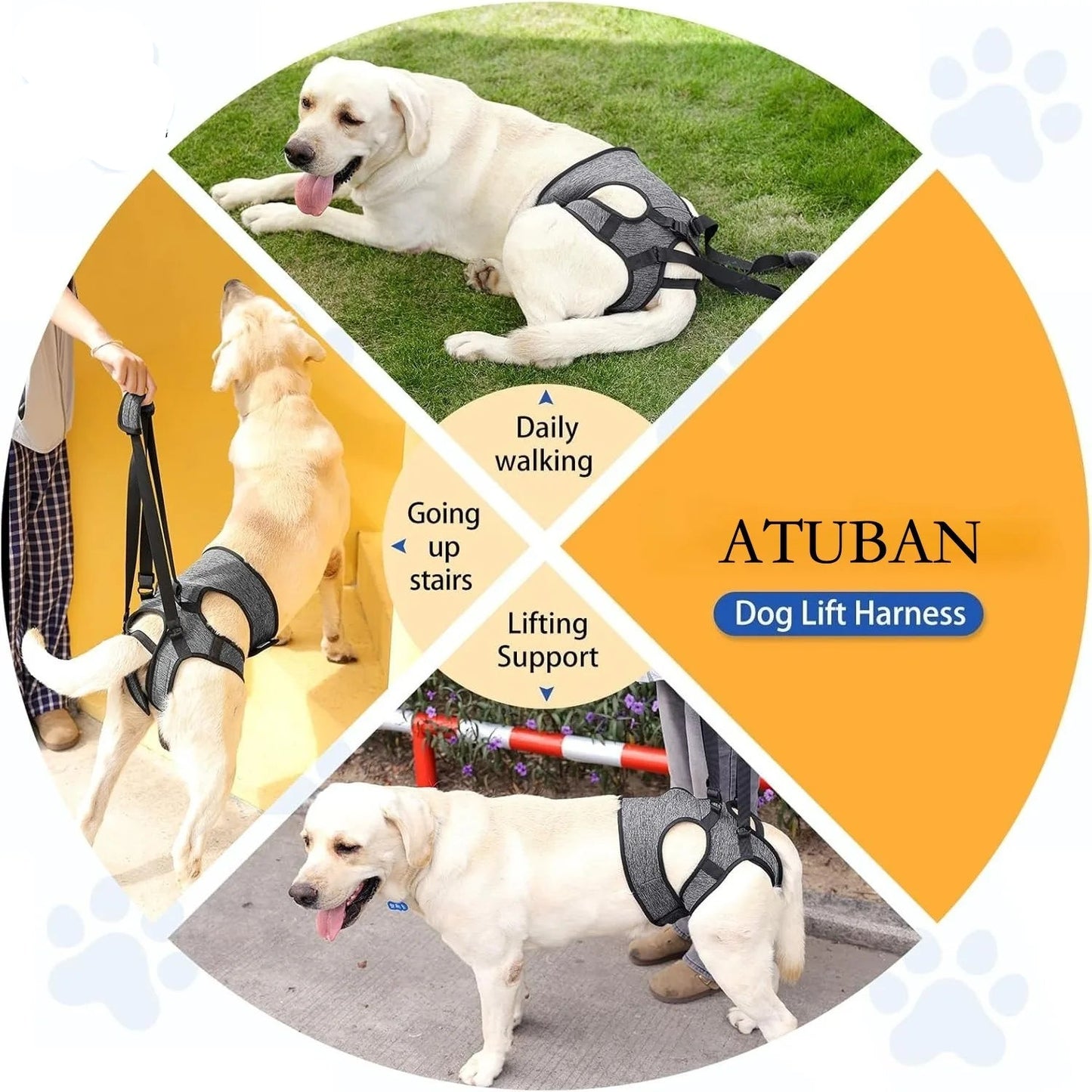 Hind Leg Support Dog Sling for Large & Senior Dogs | Adjustable Mobility Aid