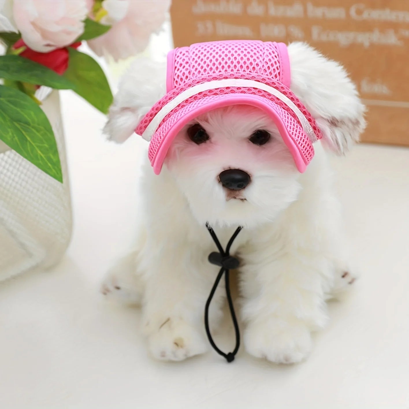 Chapeau de protection solaire pour animaux de compagnie avec nœud - Chapeau réglable et élégant pour chiens et chats