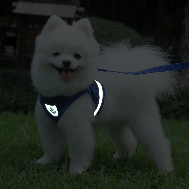 Reflective Mesh & Plaid Dog Vest Harness and Leash Set