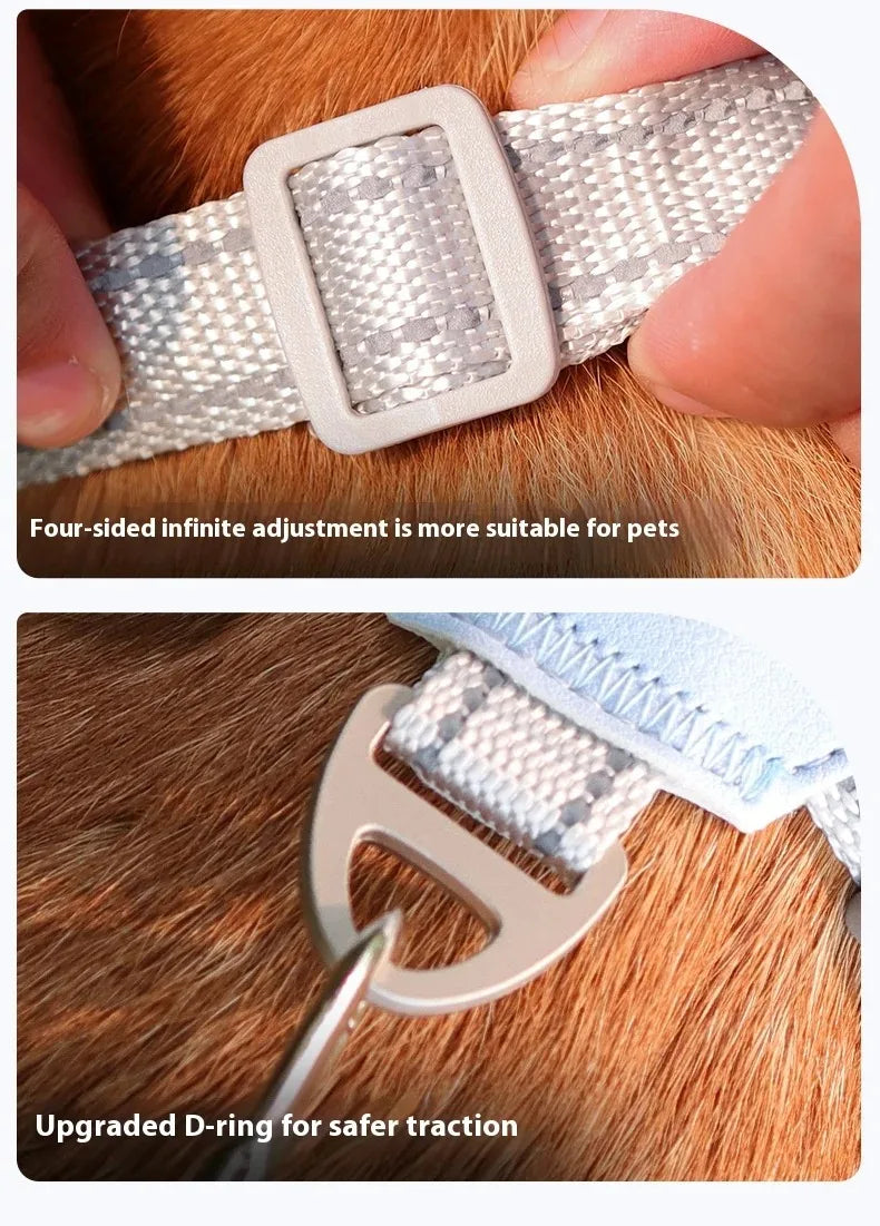 Ensemble de harnais de poitrine en cuir avec laisse rétractable