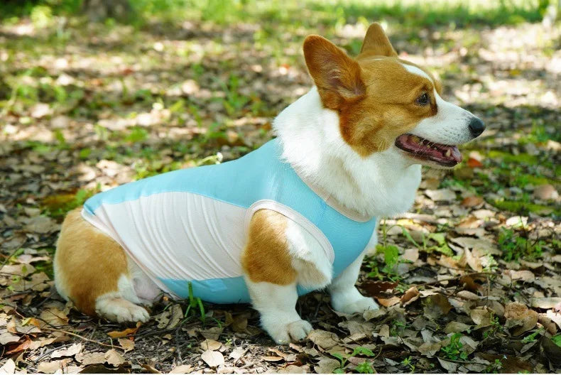 Ice Silk Cooling Vest with Sun Protection for Dogs & Cats