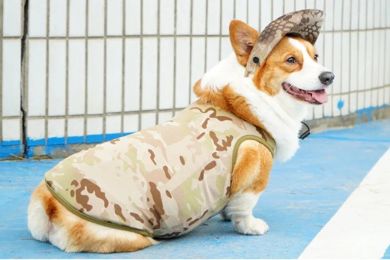 Mesh Cooling Vest & Sun Hat Set for Dogs