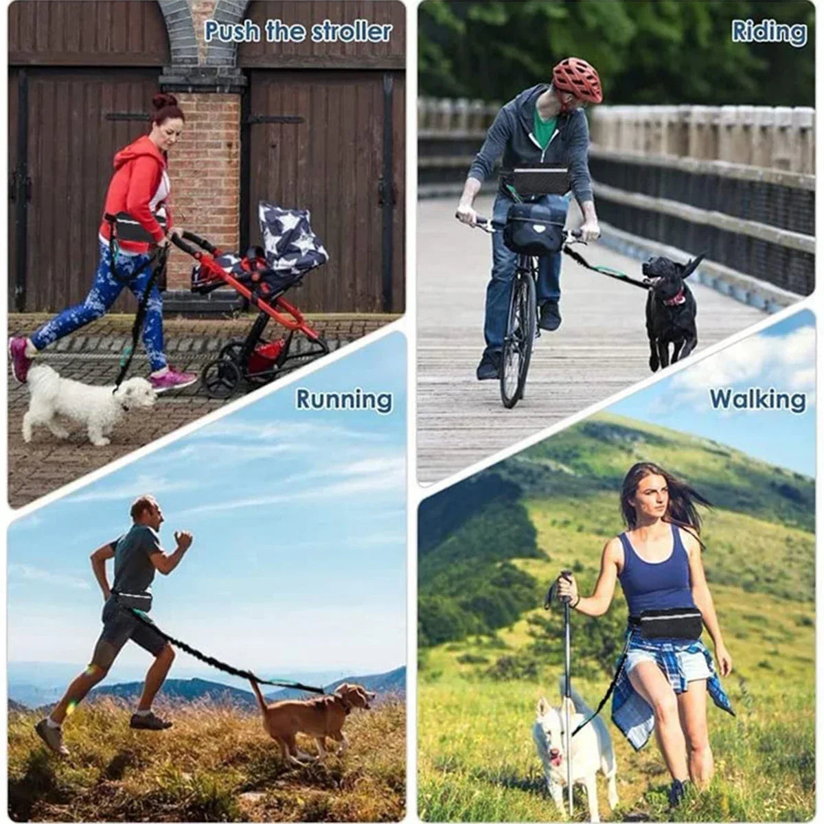 Laisse pour chien mains libres avec ceinture réfléchissante et pochette de rangement