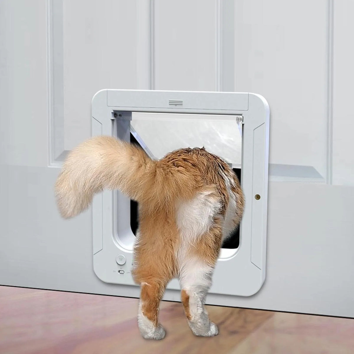 Collar-Activated Smart Cat Flap Door