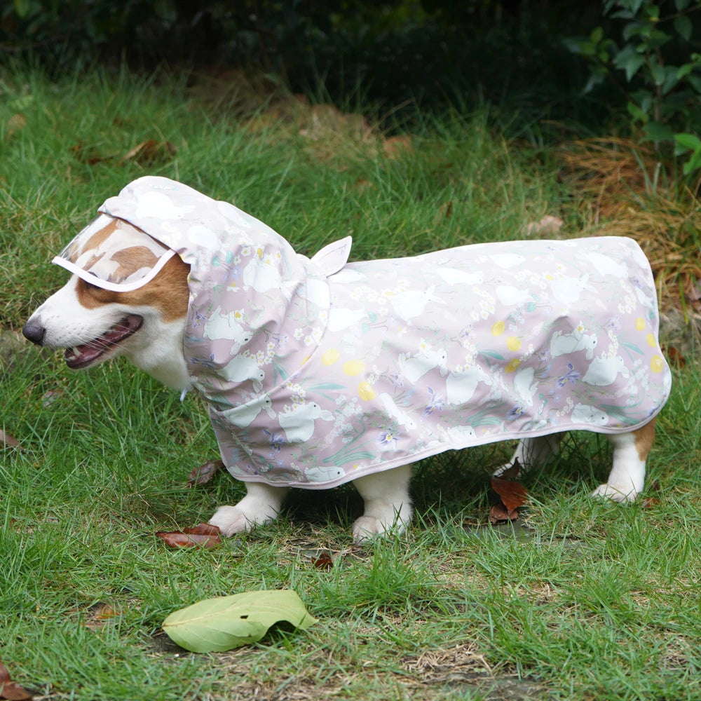 Waterproof Dog Raincoat with Fun Print