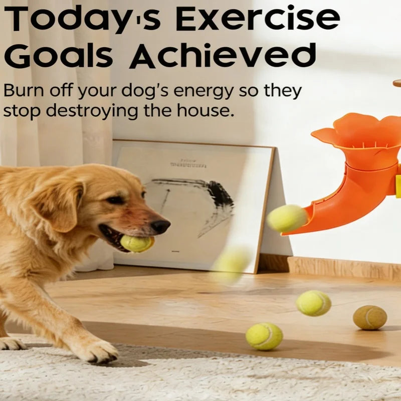 Clamp-Mounted Dog Ball Trainer