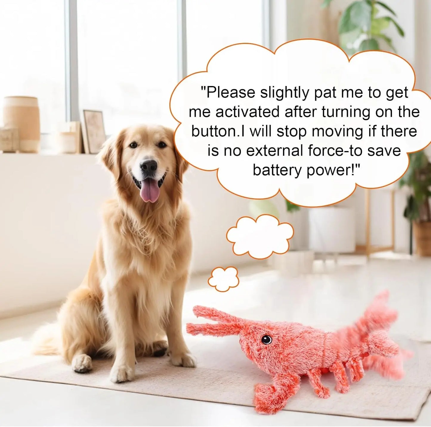 Jouet interactif pour chat en forme de homard doux rechargeable par USB avec couineur
